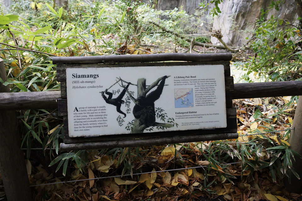 Woodland Park Zoo — photo 78